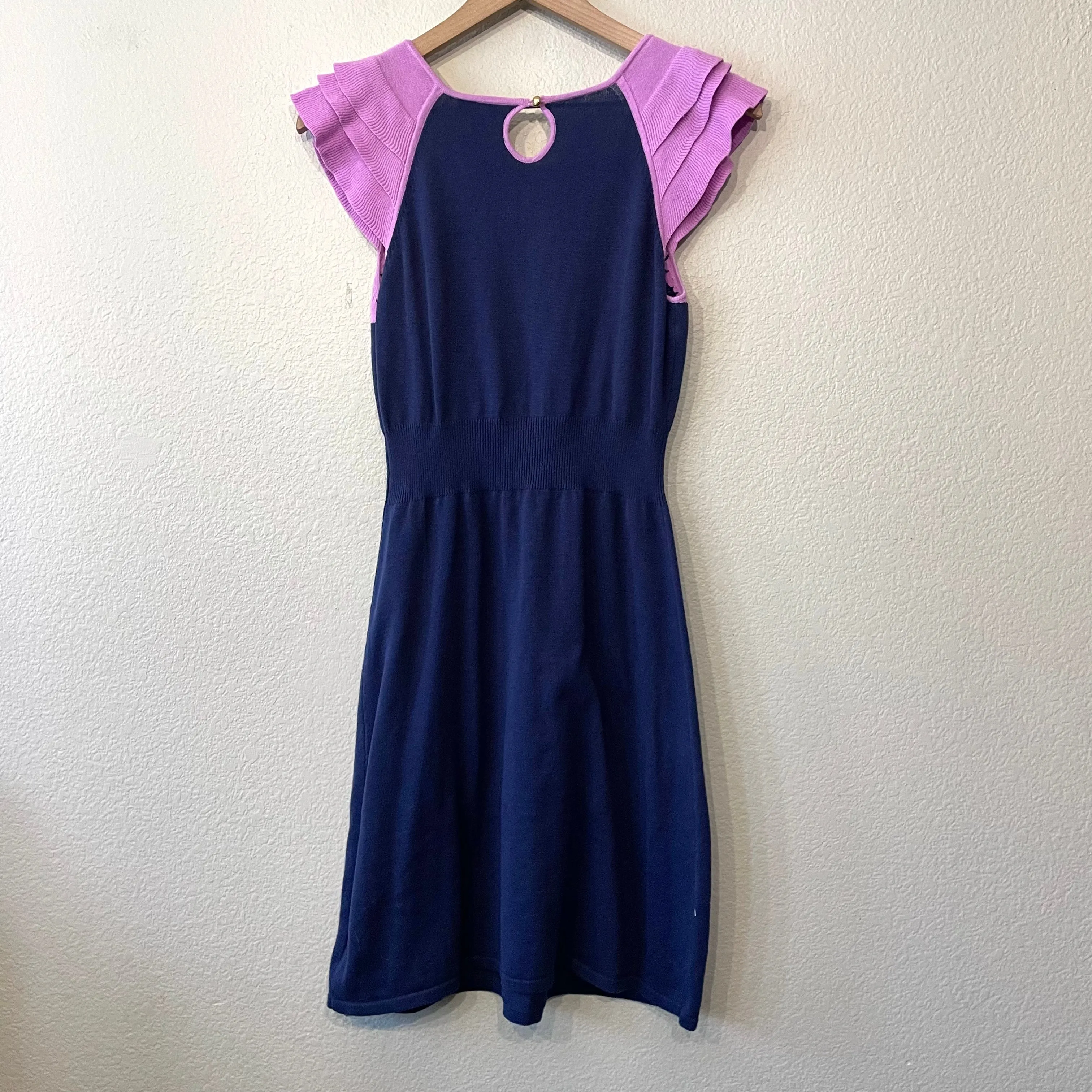 Ruffle Sleeve Sweater Dress
