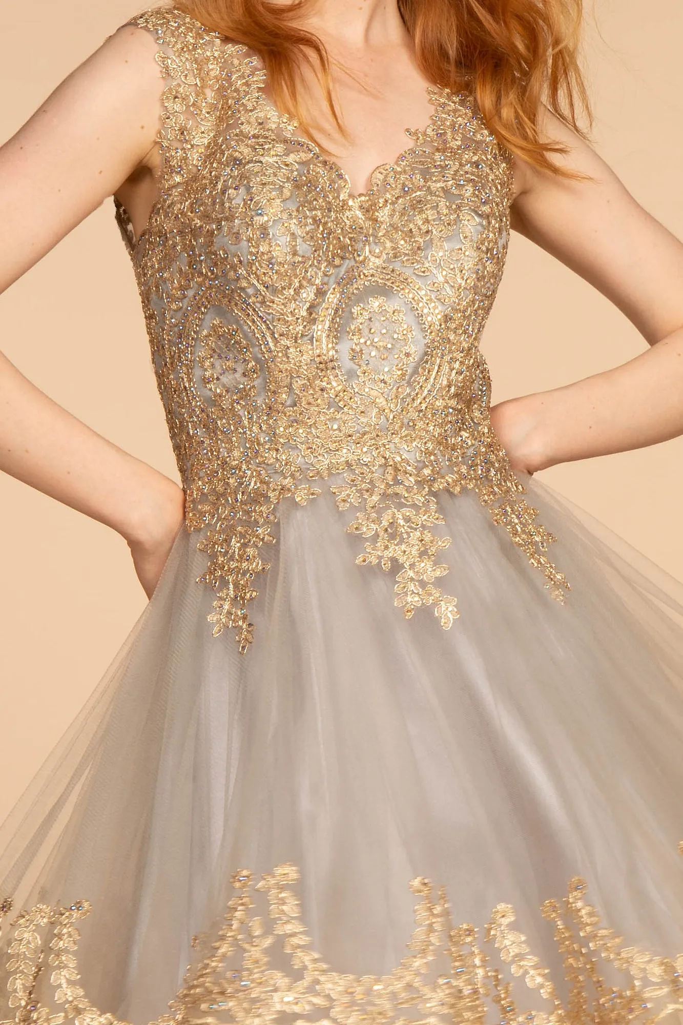 Tulle Short Dress Accented with Gold Lace GLGS2403