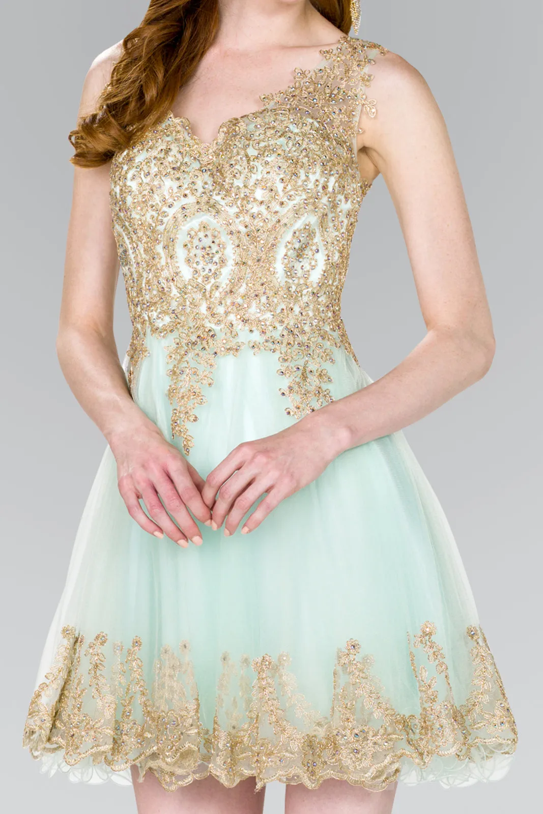 Tulle Short Dress Accented with Gold Lace GLGS2403